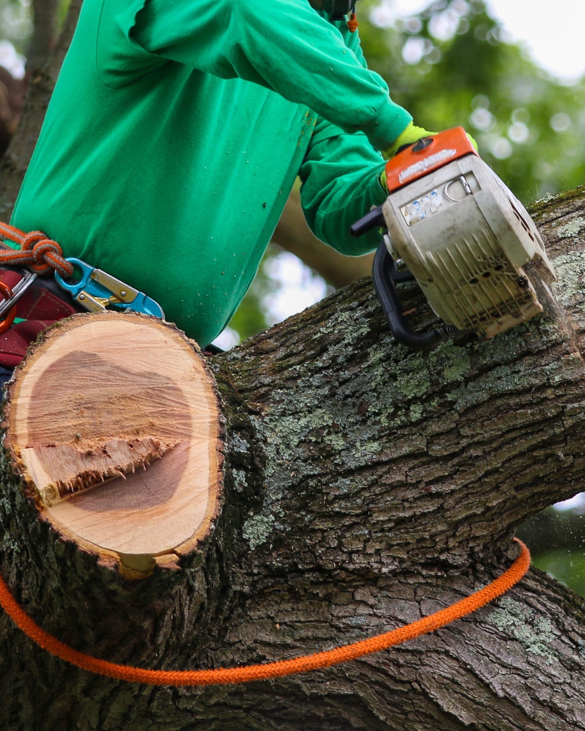 man working a chainsaw tree services sutter county